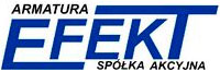 Логотип EFEKT